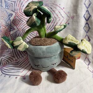 Russ greenhouse pothos Plush Plant